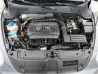 2014 Volkswagen Beetle  продається в Riverview, FL - Rear End