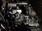 2025 CFMOTO UFORCE   for sale at Copart MN - ST. CLOUD
