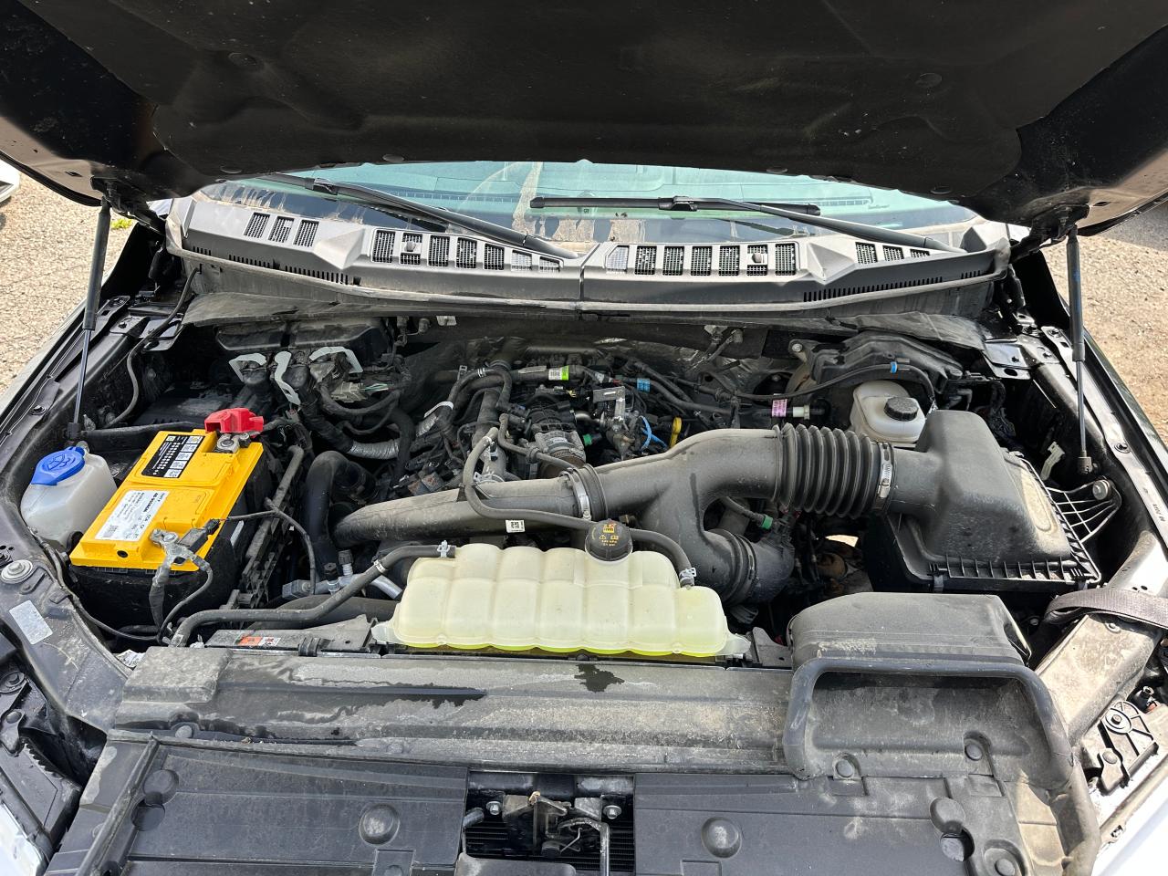 1FTEX1EP6LFB57319 FORD F-150 2020