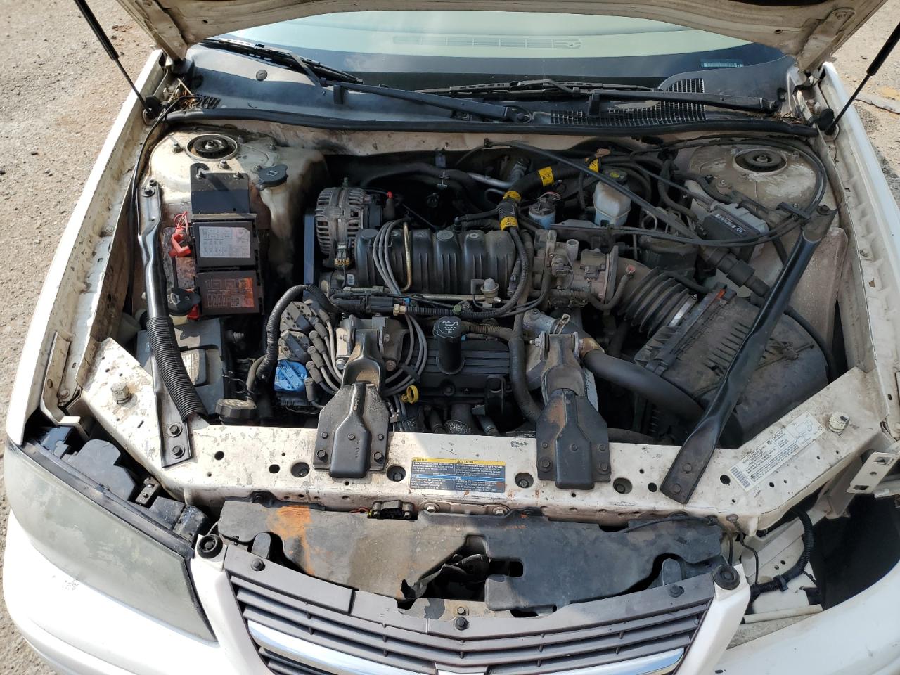 2004 Chevrolet Impala Ls VIN: 2G1WH52K449457770 Lot: 59157425