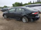 2025 TOYOTA COROLLA LE   à vendre chez Copart ON - TORONTO
