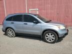2008 Honda Cr-V Ex للبيع في London، ON - Minor Dent/Scratches