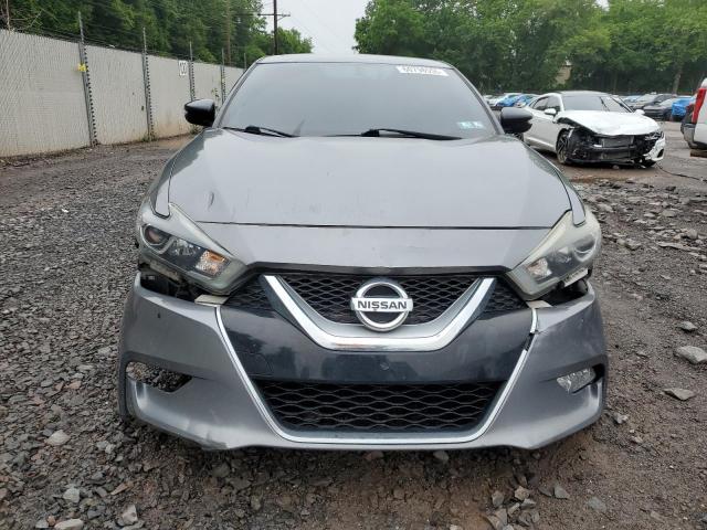 Sedans NISSAN MAXIMA 2016 Gray