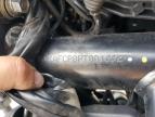 2023 Ducati Scrambler 1100 for Sale in Littleton, CO - Front End