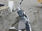 1999 HONDA VT600 CD   a la Venta en Copart IL - SOUTHERN ILLINOIS