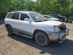 2004 HYUNDAI SANTA FE    à vendre chez Copart ON - COOKSTOWN