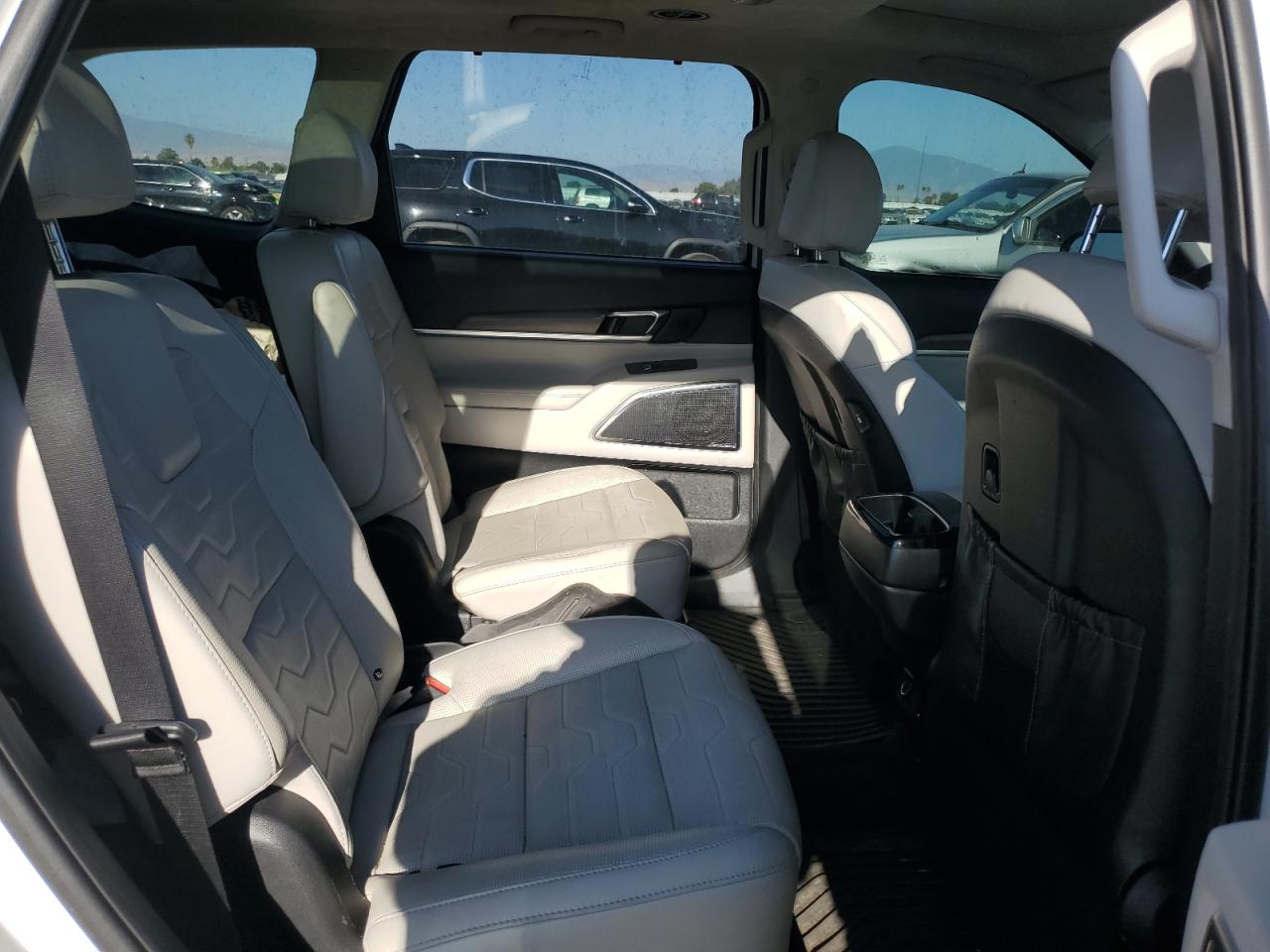 2020 Kia Telluride Sx VIN: 5XYP5DHC8LG078210 Lot: 58371445