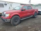 2012 Ford F150 Supercrew продається в New Britain, CT - Minor Dent/Scratches