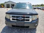 2009 Ford Escape Xlt de vânzare în Barberton, OH - Normal Wear