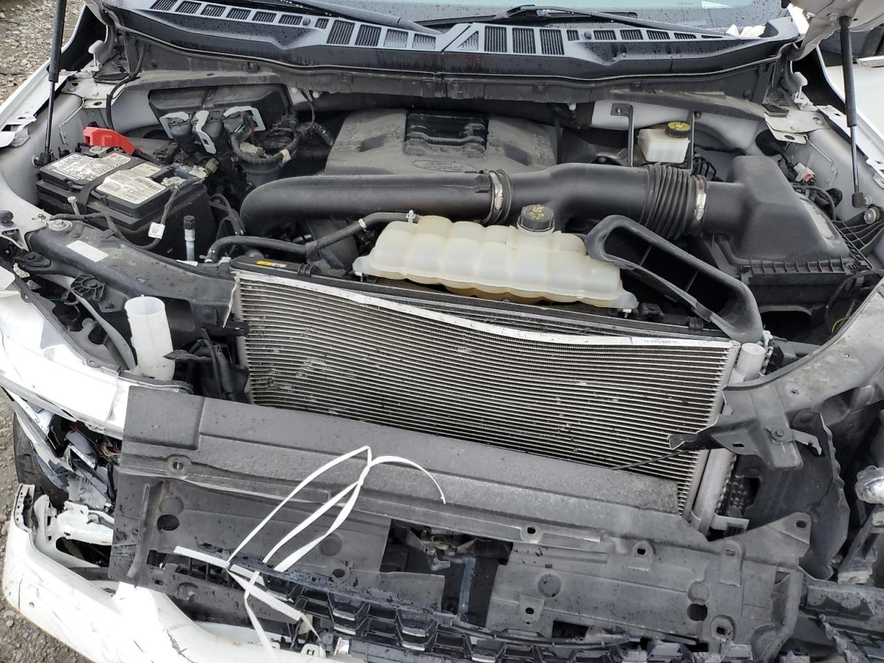 1FTFW1E89NFB71217 FORD F-150 2022