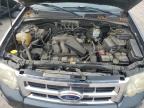 2008 Ford Escape Xlt en Venta en York Haven, PA - Minor Dent/Scratches