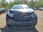 2019 HONDA CR-V EX   à vendre chez Copart ON - COOKSTOWN