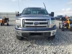 2013 Ford F150 Supercrew   for Sale in Arcadia, FL - Rear End