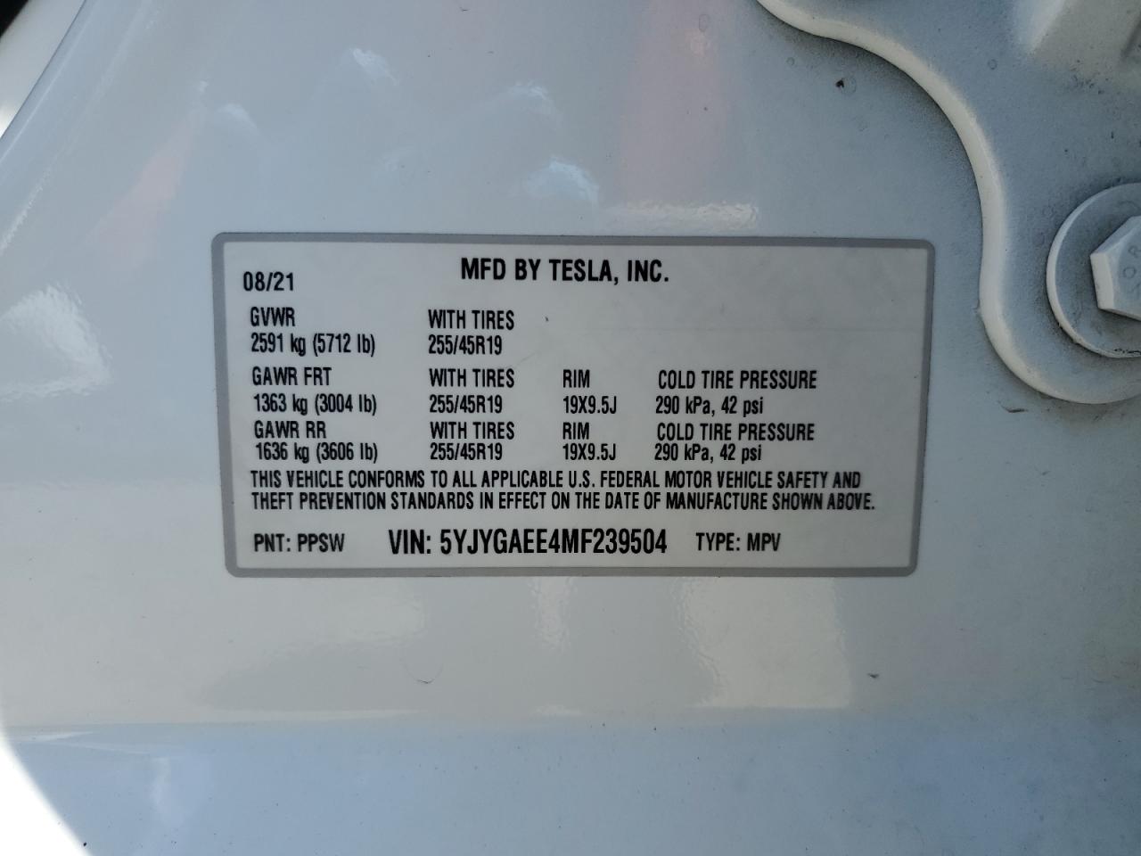 2021 Tesla Model Y VIN: 5YJYGAEE4MF239504 Lot: 62192435