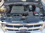 2011 Ford Escape Limited   de vânzare în Hillsborough, NJ - Minor Dent/Scratches