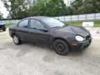 2002 Dodge Neon  for Sale in Ocala, FL - Front End