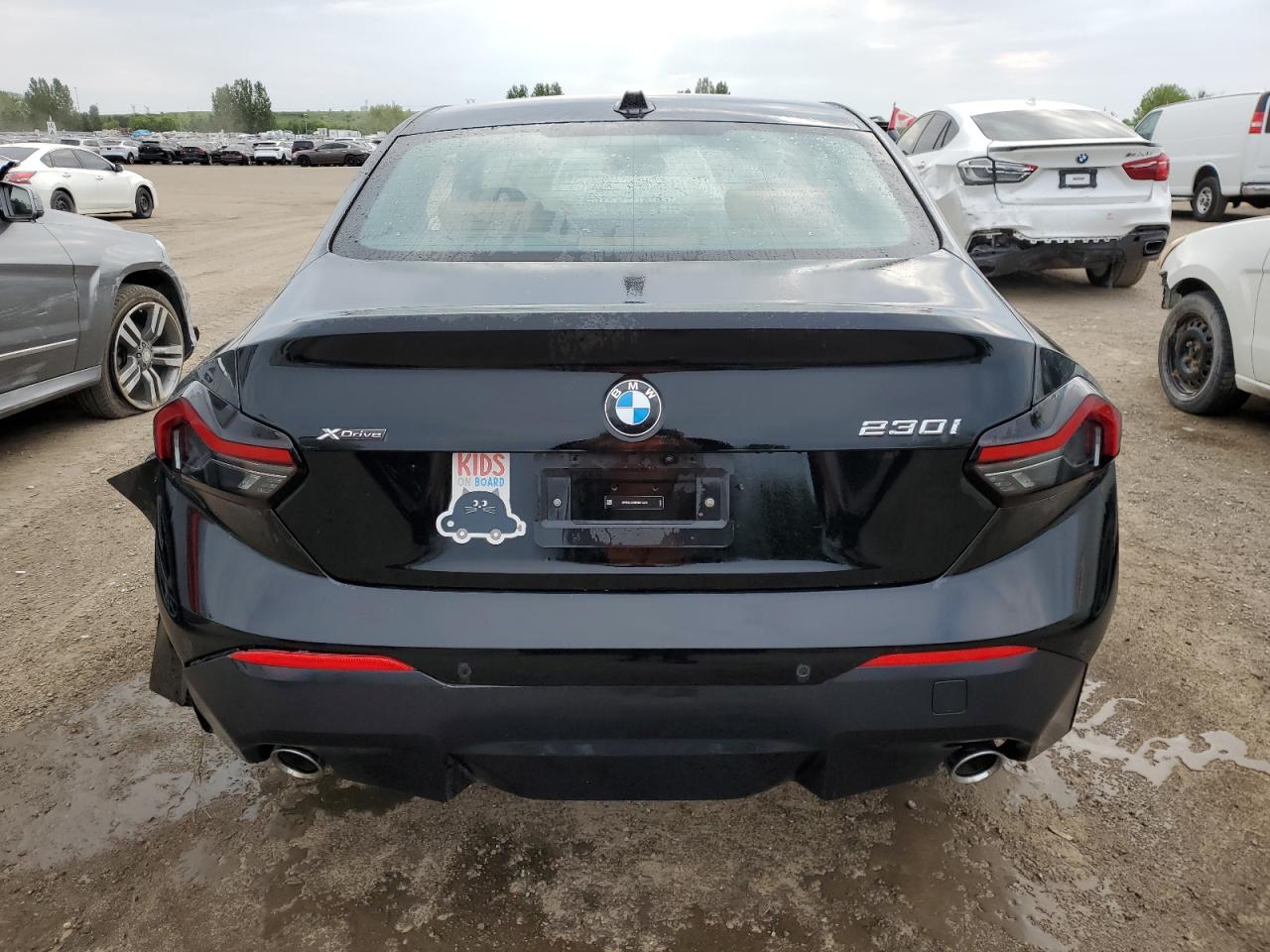2024 BMW 230Xi VIN: 3MW33CM06R8E10544 Lot: 56012595