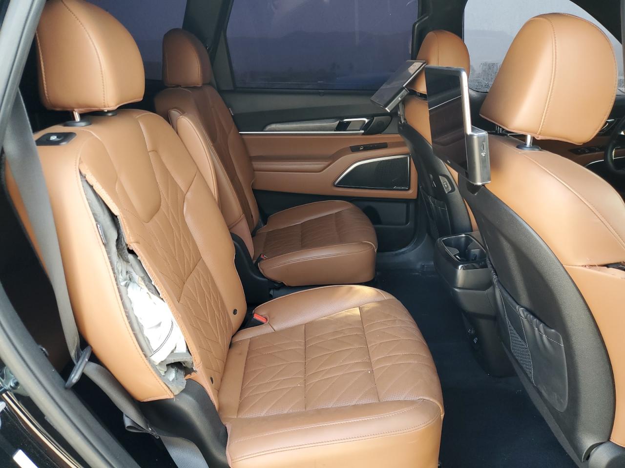 2024 Kia Telluride Sx VIN: 5XYP5DGC4RG443279 Lot: 62202395
