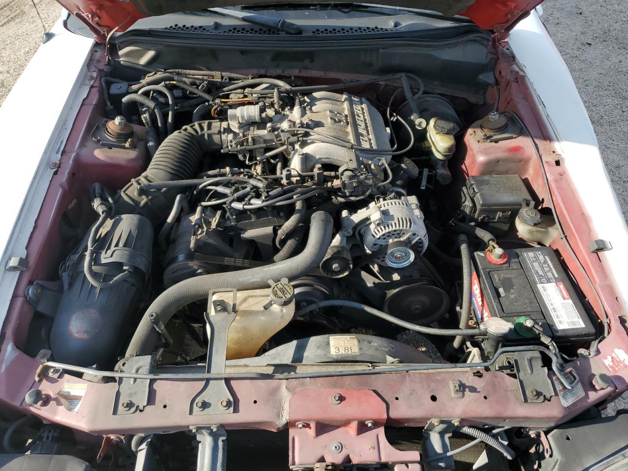 1998 Ford Mustang VIN: 1FAFP4443WF256459 Lot: 62699475