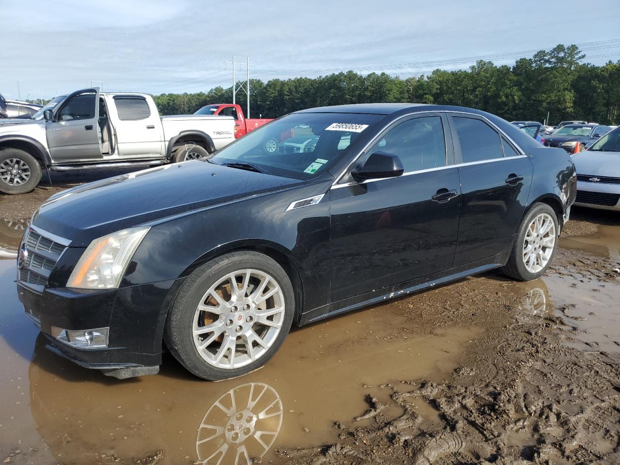 2011 Cadillac Cts Performance Collection en Venta en Greenwell Springs, LA - Rear End