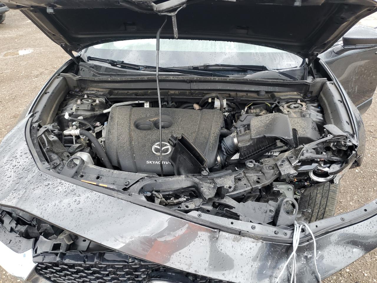 2021 Mazda Cx-30 Premium VIN: 3MVDMBDL8MM316253 Lot: 62180415