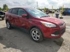 2014 Ford Escape Se   zu verkaufen in Indianapolis, IN - Side