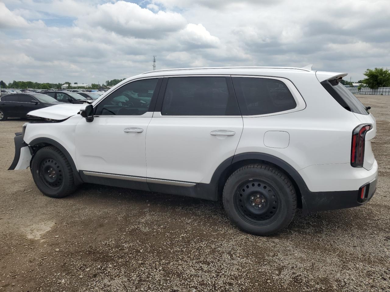 KIA TELLURIDE 2023 VIN 5XYP5DGC4PG360819 photo 2