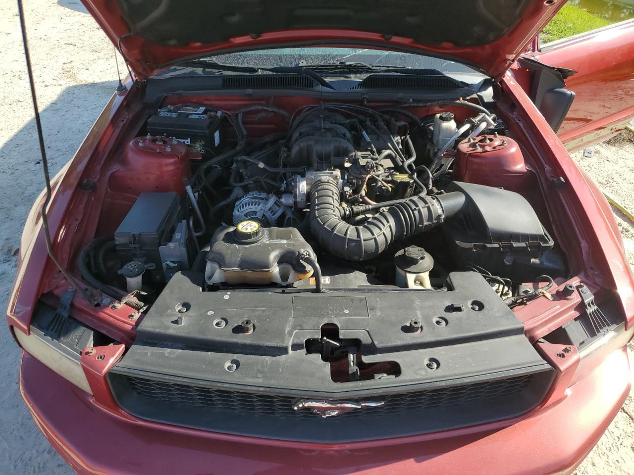 2009 Ford Mustang VIN: 1ZVHT84NX95115734 Lot: 62302725