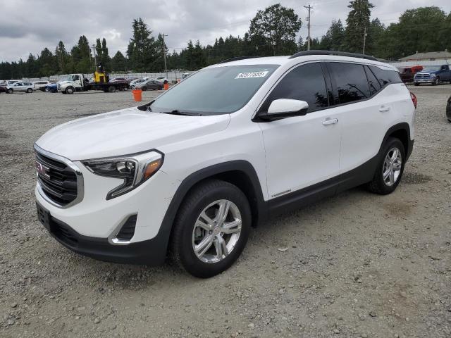  GMC TERRAIN 2019 Белы