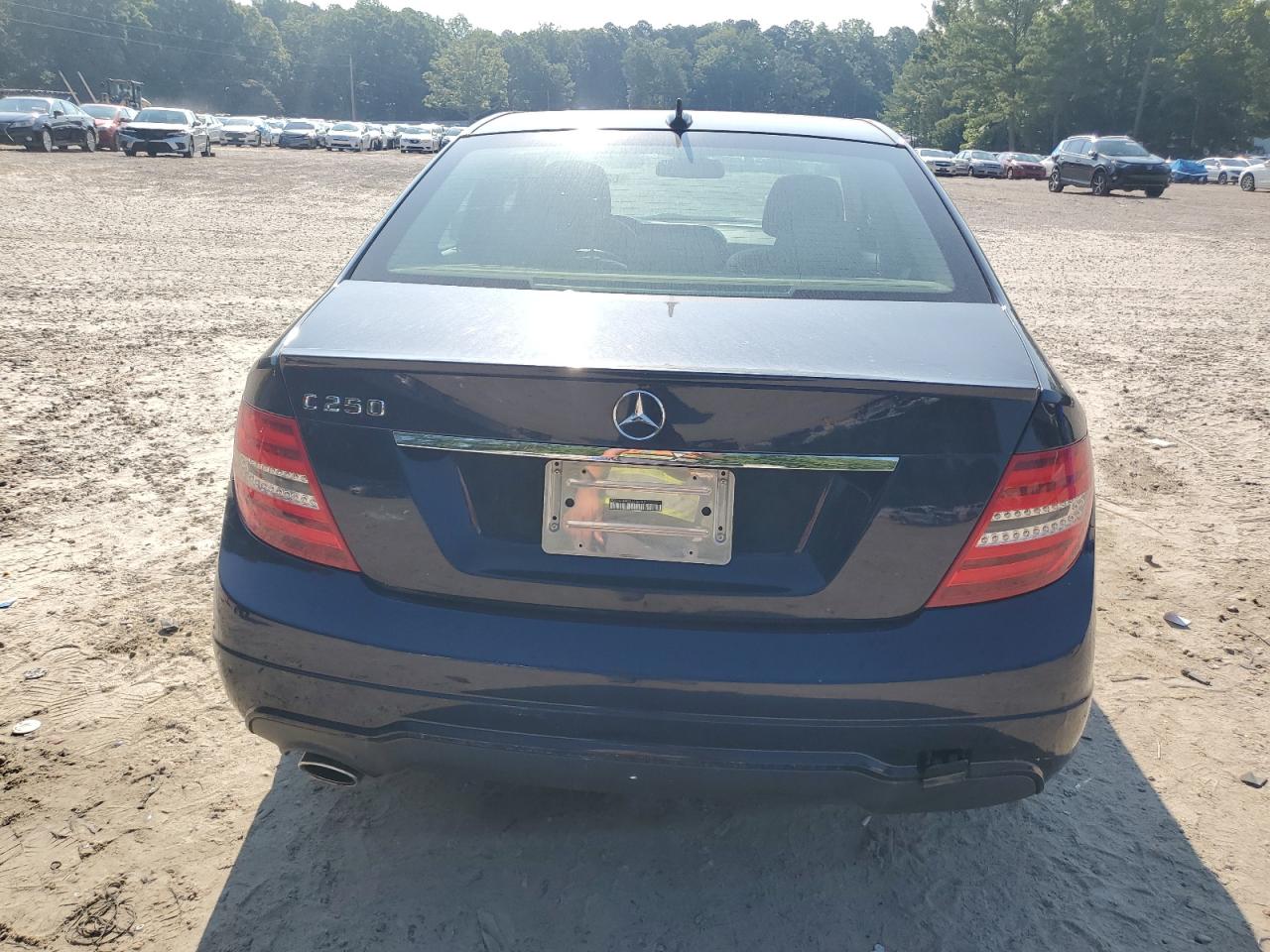 2013 Mercedes-Benz C 250 VIN: WDDGF4HB0DA750742 Lot: 62776725