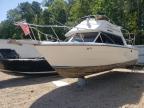 Charles City, VA에서 판매 중인 1989 Chris Craft Boat   - Minor Dent/Scratches
