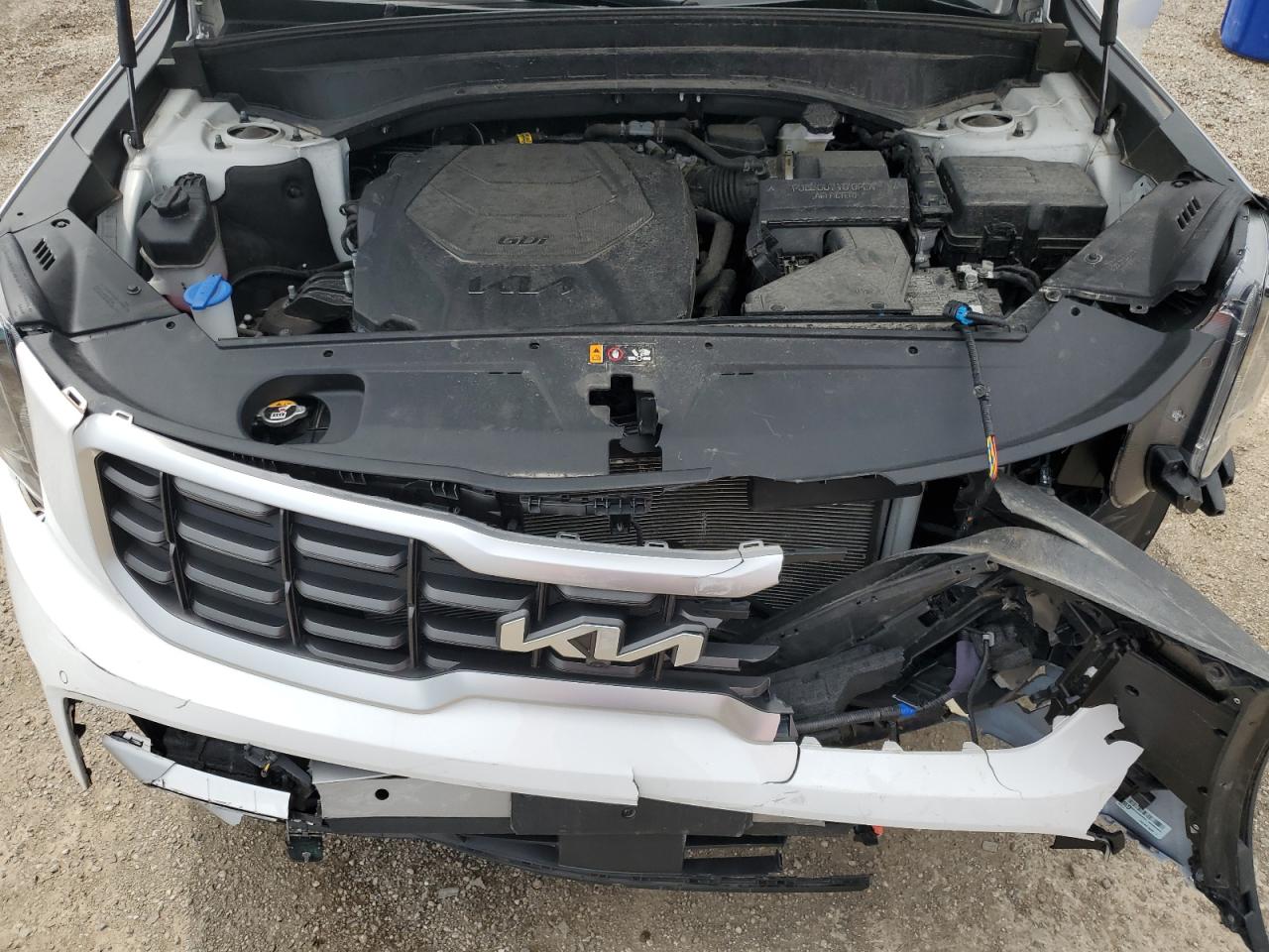 2023 Kia Telluride Sx VIN: 5XYP5DGC4PG360819 Lot: 62531715