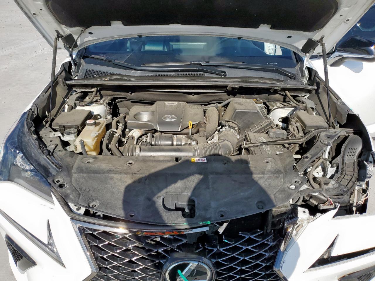 2019 Lexus Nx 300 Base VIN: JTJYARBZ1K2138134 Lot: 62685575
