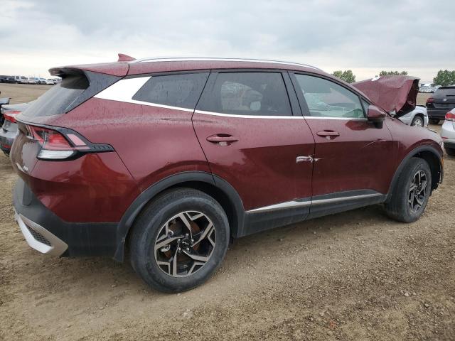  KIA SPORTAGE 2023 Burgundy