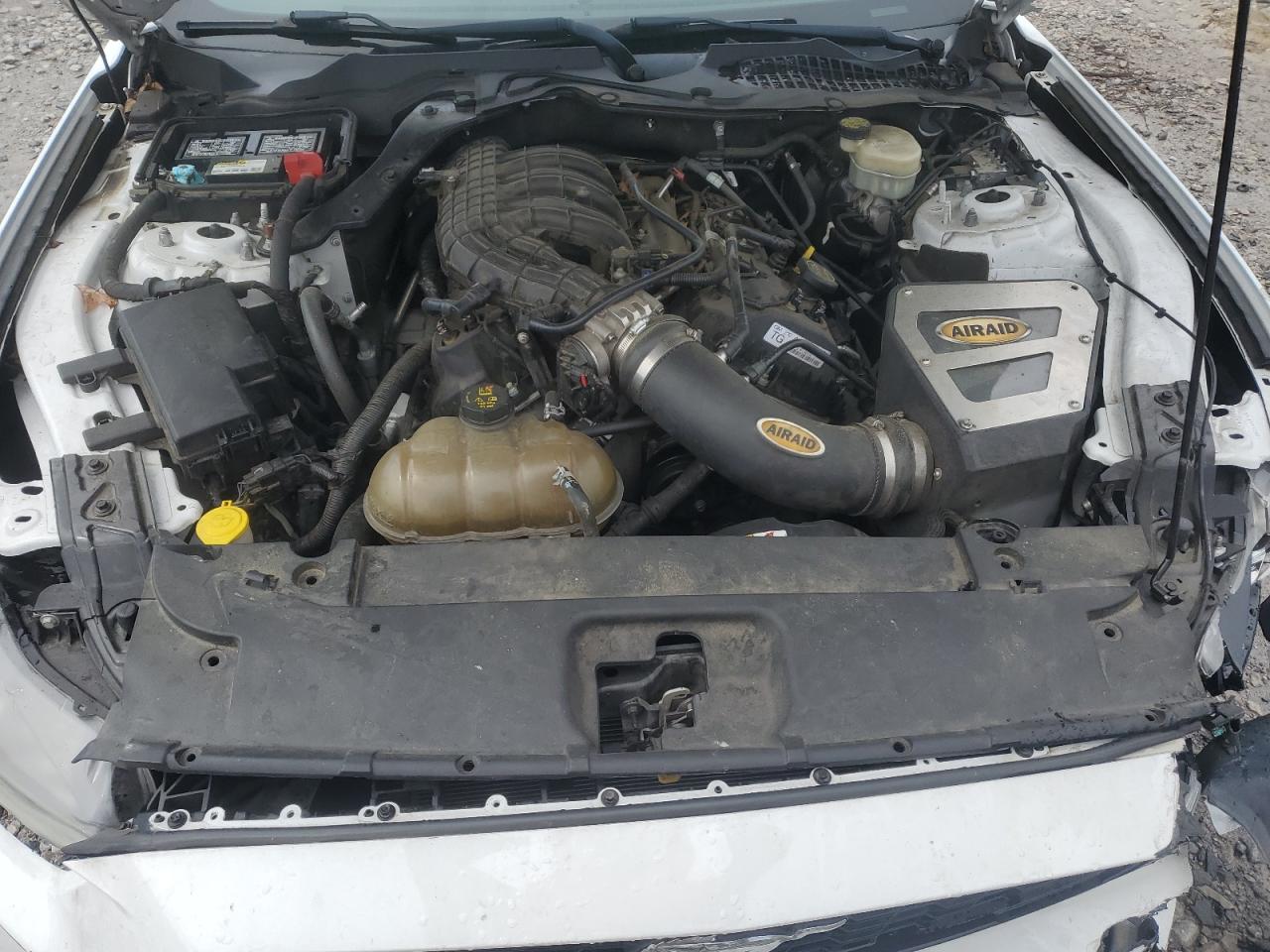 1FA6P8AM2G5321336 FORD ALL Models 2016