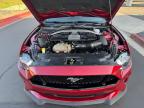 2019 FORD MUSTANG GT   à vendre chez Copart CA - SAN DIEGO