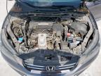 2013 Honda Accord Exl   for Sale in Haslet, TX - Hail