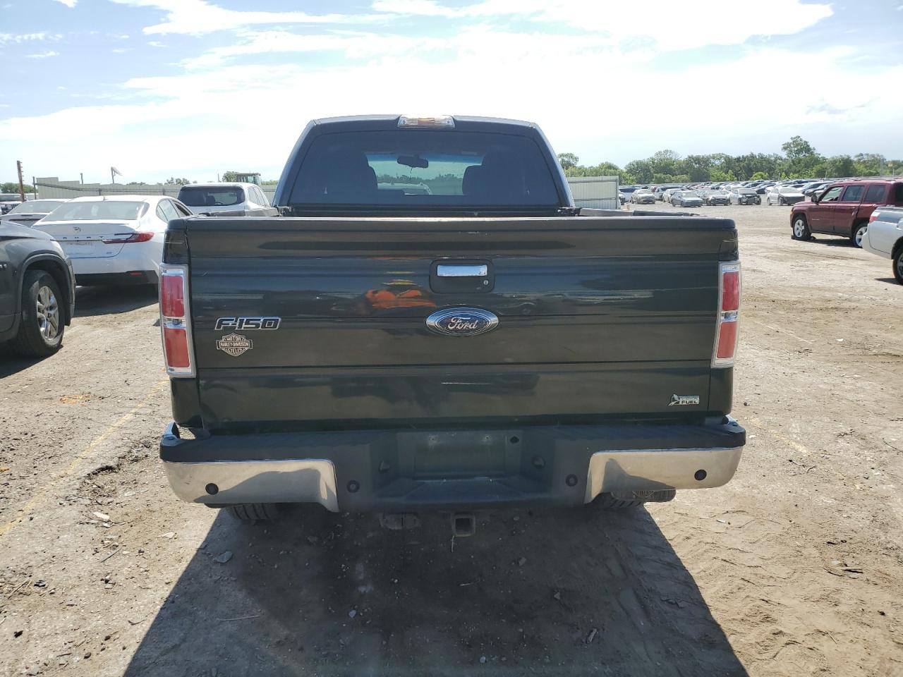 2010 Ford F150 Super Cab VIN: 1FTFX1EV4AFB18339 Lot: 62684615