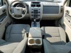 2009 Ford Escape Xlt de vânzare în Louisville, KY - Hail