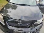 2010 Toyota Corolla Base   zu verkaufen in Arlington, WA - Front End