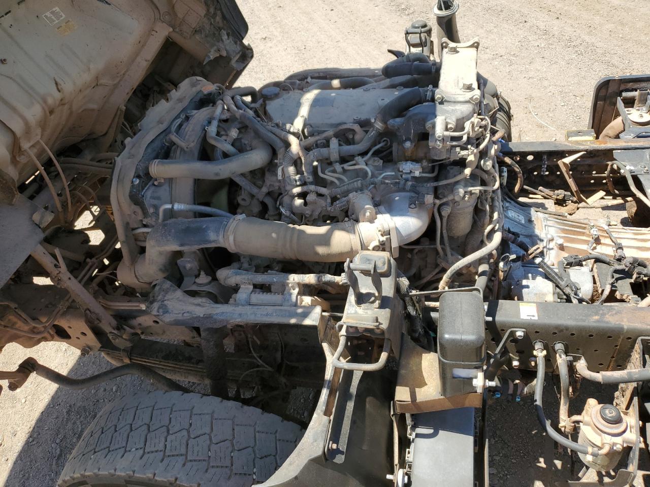 2019 Isuzu Nrr VIN: JALE5W160K7305259 Lot: 60143015