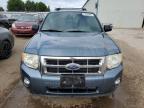 2011 FORD ESCAPE XLT   à vendre chez Copart ON - TORONTO