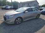 2011 Hyundai Sonata Hybrid продається в York Haven, PA - Minor Dent/Scratches