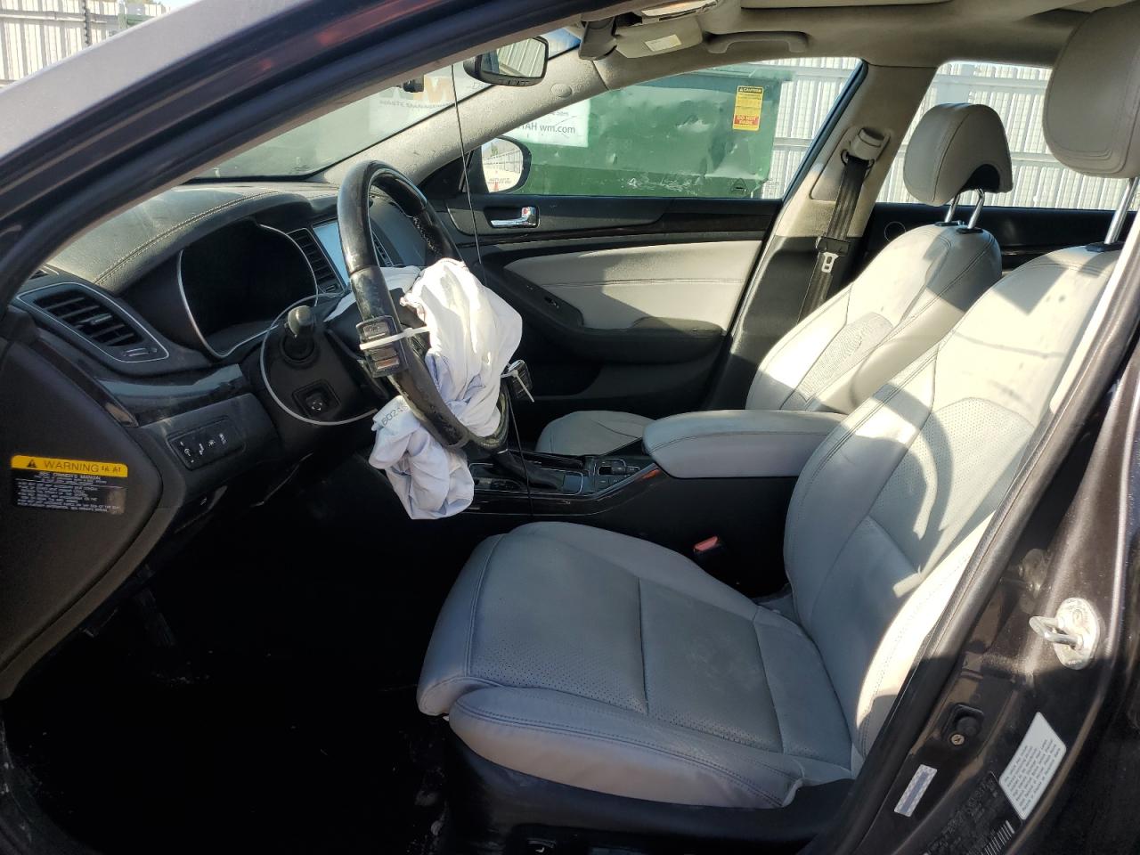2014 Kia Cadenza Premium VIN: KNALN4D74E5164307 Lot: 61476335