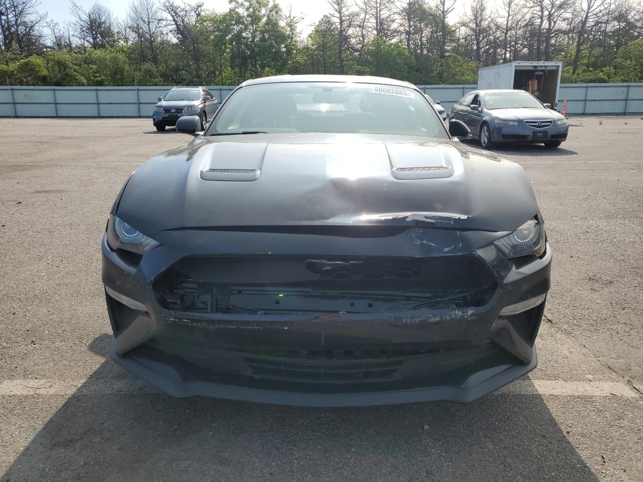 1FA6P8TH0K5184275 FORD ALL Models 2019