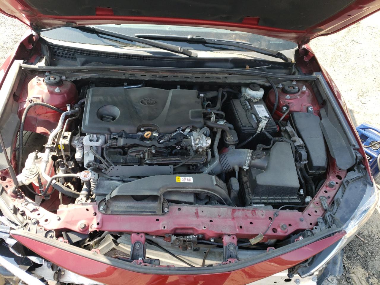 4T1C11AK7MU536616 TOYOTA CAMRY 2021