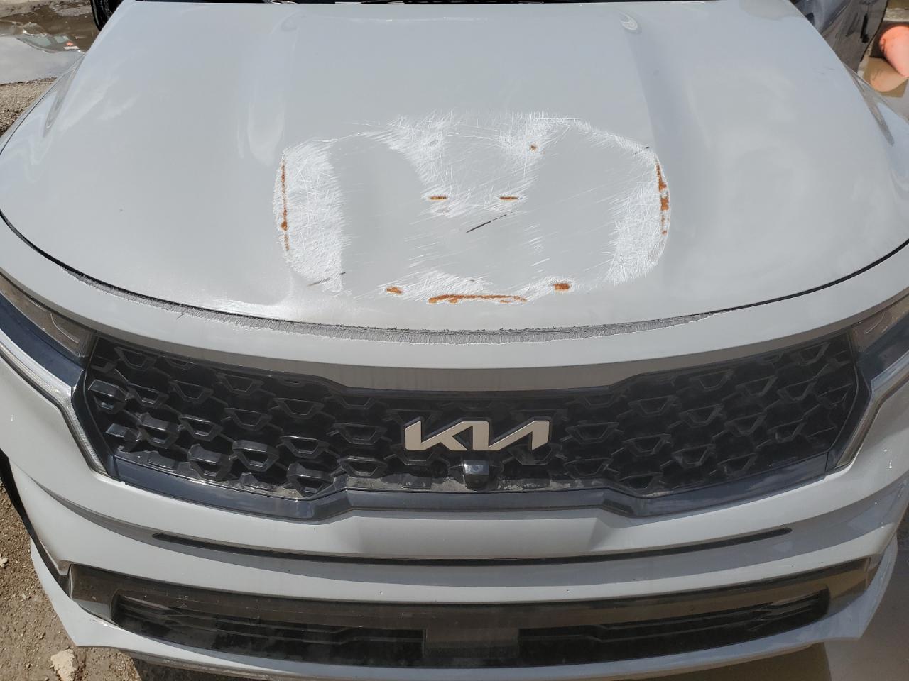 2022 Kia Sorento Sx VIN: 5XYRK4LF0NG101906 Lot: 62073315