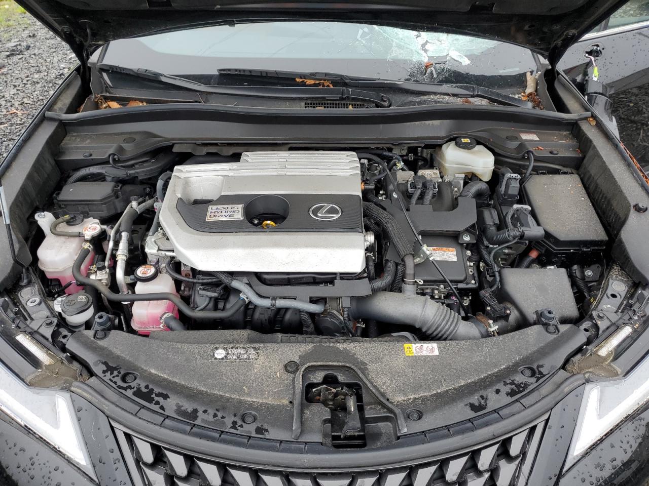 2021 Lexus Ux 250H VIN: JTHP9JBH4M2052480 Lot: 59948845