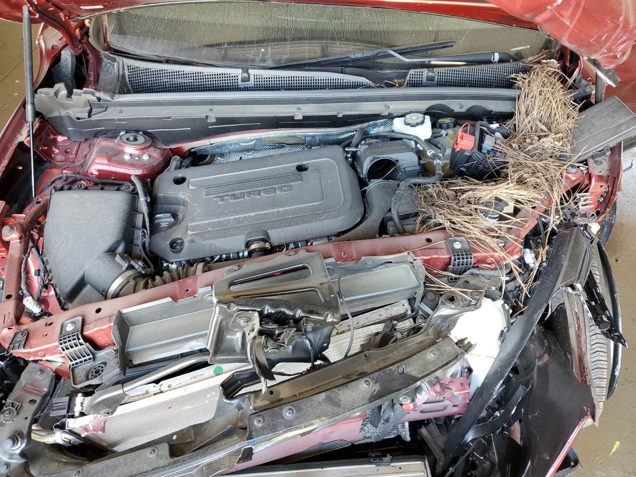2023 Buick Envision Essence VIN: LRBFZNR41PD019550 Lot: 61232305