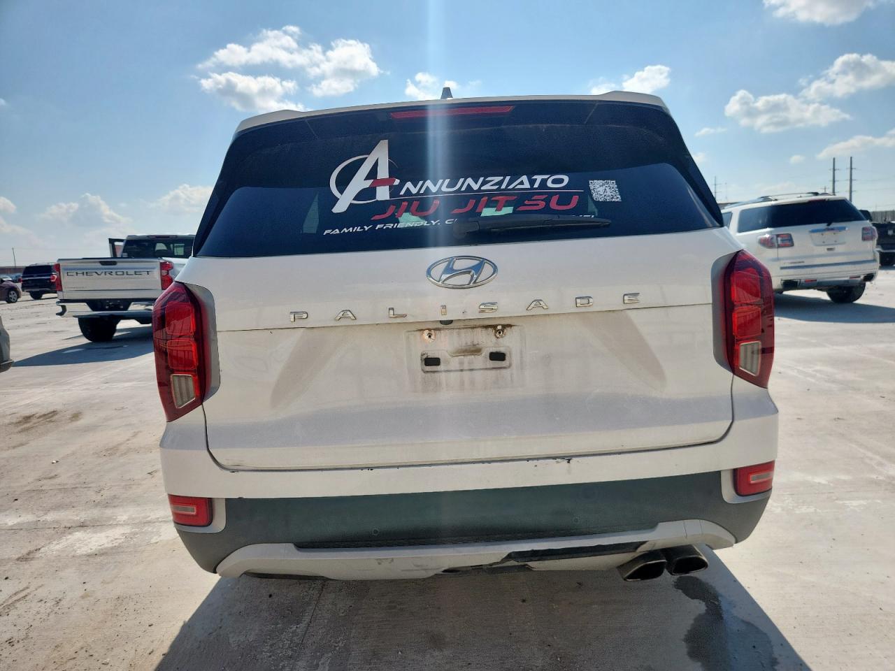 2020 Hyundai Palisade Sel VIN: KM8R44HE7LU168407 Lot: 61238185